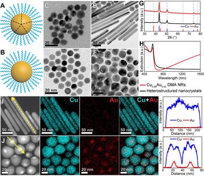 Elucidating the role of seed structure in the heterometallic seeded growth of copper-based nanocrystals